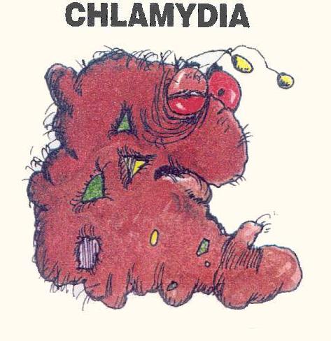 All About Chlamydia!